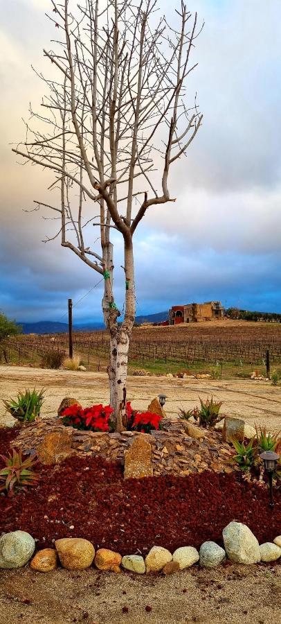 Finca Vidandrei Casa Mazahua Valle de Guadalupe Exterior foto